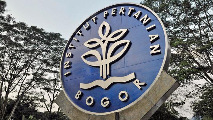 Tips Lolos Ujian IPB: Peran Guru BK dalam Membantu Siswa