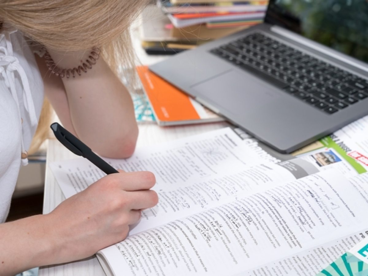 10 Contoh Silogisme dalam Penulisan Esai