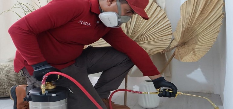 Inilah 8 Keunggulan Jasa Pengendali Hama (Pest Control Surabaya) Fumida