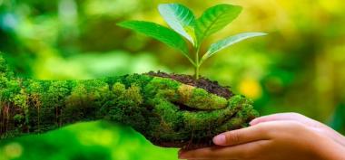 Tujuan dan Manfaat Adanya Situs dinaslingkunganhidup.id untuk Pelestarian Lingkungan di Indonesia