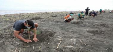 Profil dan Manfaat dlhjawatengah.id bagi Masyarakat dalam Pelestarian Lingkungan