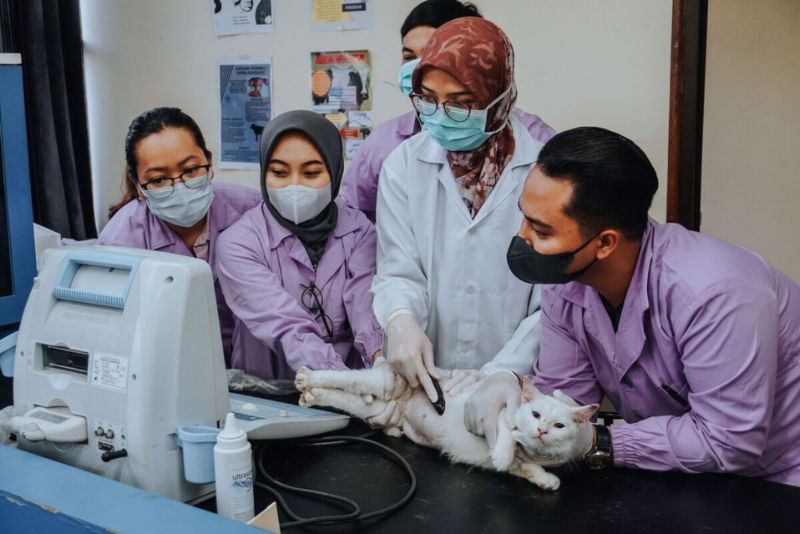 Peran Program Studi Kedokteran Hewan Terbaik dalam Konservasi Satwa Liar di Indonesia